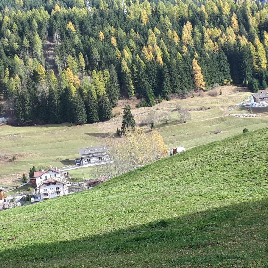 Апартаменты Casa Con Vista A Моэна Экстерьер фото